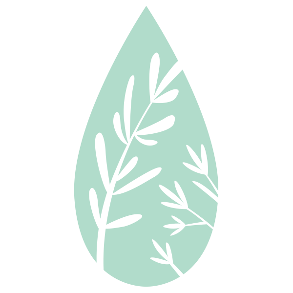 Juniper Berry